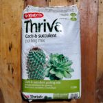 THRIVE CACTI & SUCCULENT MIX 15L