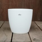 Brussels Round White 25cm